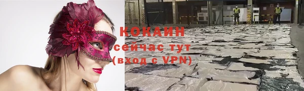 бошки Арсеньев