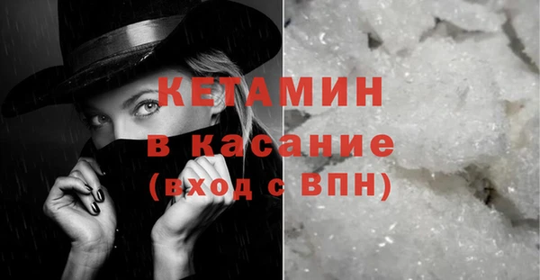 прущие грибы Аркадак