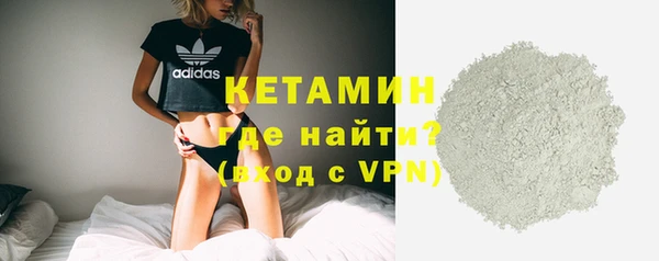 прущие грибы Аркадак