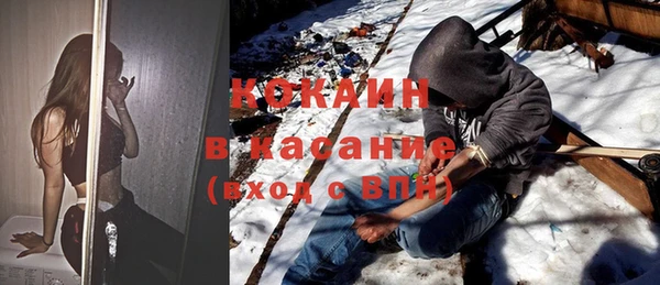 прущие грибы Аркадак