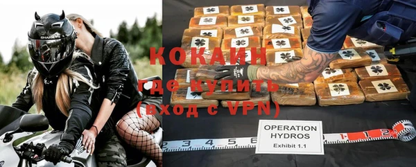 прущие грибы Аркадак