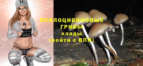 прущие грибы Аркадак