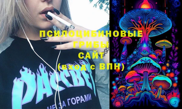 гидра Армянск