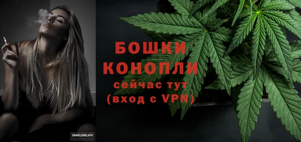 прущие грибы Аркадак