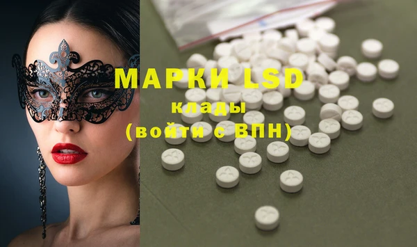 прущие грибы Аркадак